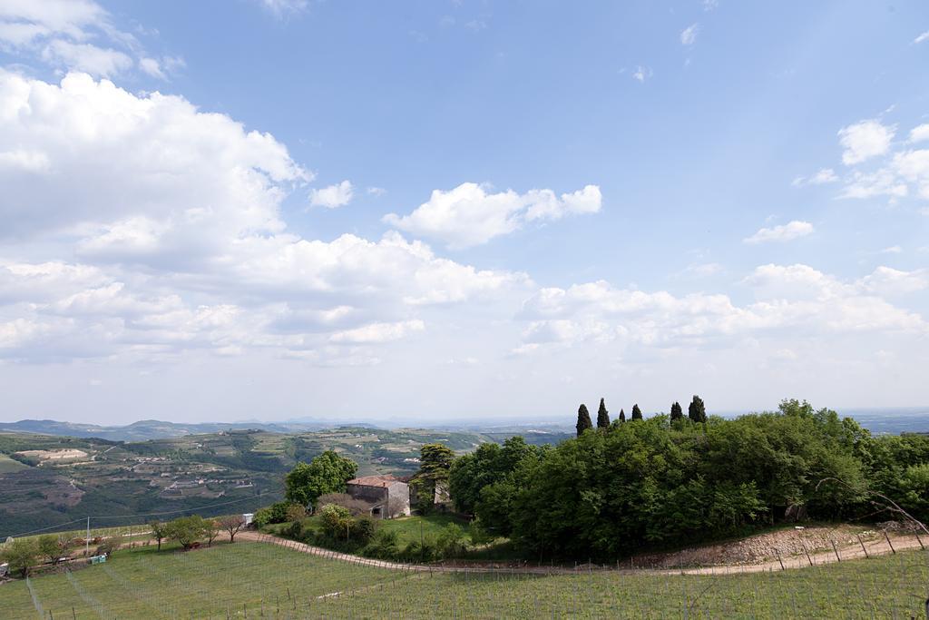 Podere Castagne Mezzane di Sotto Exterior photo