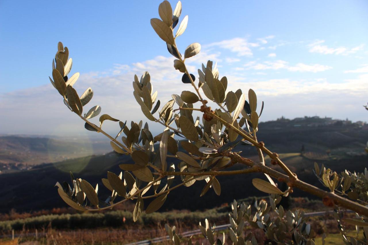 Podere Castagne Mezzane di Sotto Exterior photo