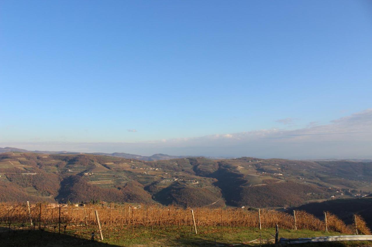 Podere Castagne Mezzane di Sotto Exterior photo