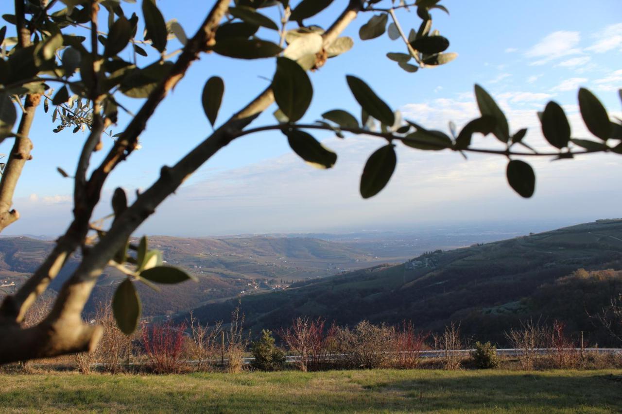 Podere Castagne Mezzane di Sotto Exterior photo